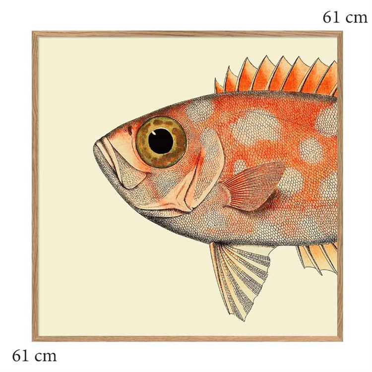 The Dybdahl Co Plakat Dotted Fish Head egramme 61x61